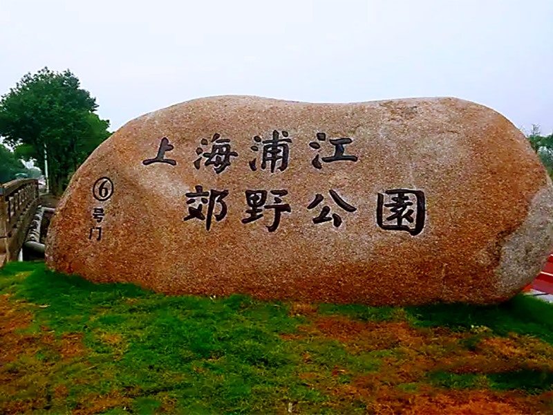 多點位景區智慧停車解決方案-上海浦江郊野公園